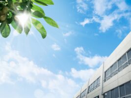 昭和小学校(多治見市)でいじめ未然防止授業を実施｜弁護士 藤田聖典