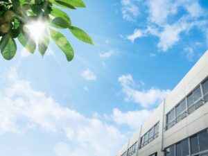 昭和小学校(多治見市)でいじめ未然防止授業を実施｜弁護士 藤田聖典