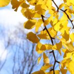 藤田聖典弁護士が多治見市立陶都中学校にて「いじめ未然防止授業」を実施しました